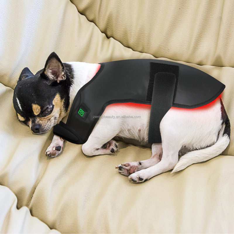 2024 Pet Red Light Physical Therapy Vest for Cat Dog for pain relief