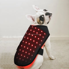 2024 Pet Red Light Physical Therapy Vest for Cat Dog for pain relief