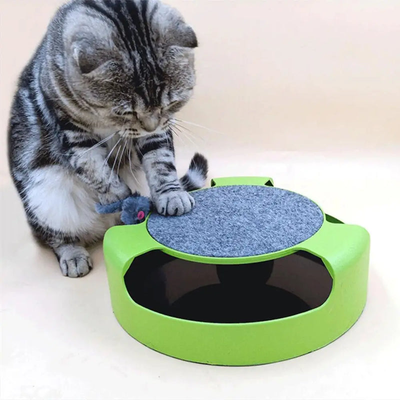 Funny Cat Pet Toy Intelligence Interactive Toy for IQ Tranning